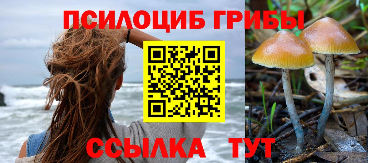 Псилоцибиновые грибы мухоморы  Вход с VPN  Углич 